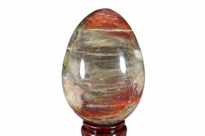 Colorful, Polished Petrified Wood Egg - Madagascar #172530